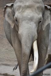 Allwetterzoo Münster