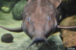 Allwetterzoo Münster