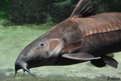 Allwetterzoo Münster