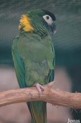 Vogelpark Walsrode