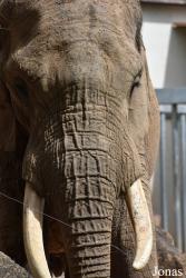 Zoo d'Amnéville