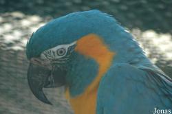 Vogelpark Walsrode