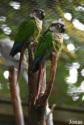 Best Zoo