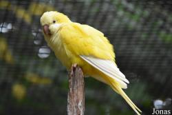 Best Zoo