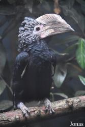 Best Zoo