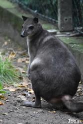 Best Zoo