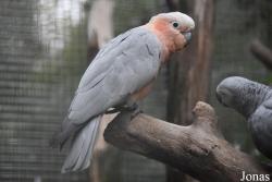Best Zoo