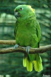 Vogelpark Walsrode