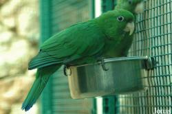 Vogelpark Walsrode