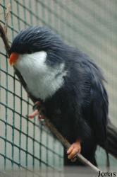 Vogelpark Walsrode