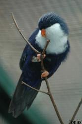 Vogelpark Walsrode