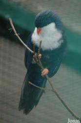 Vogelpark Walsrode