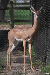 Brookfield Zoo