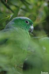 Vogelpark Walsrode