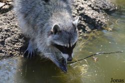 Cosley Zoo
