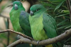 Vogelpark Walsrode