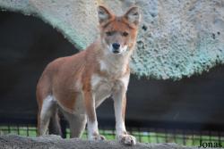 Moscow Zoo