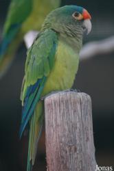 Vogelpark Walsrode