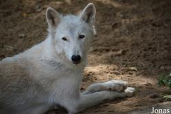 Moscow Zoo