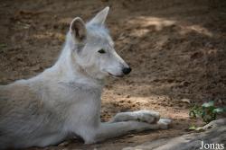 Moscow Zoo