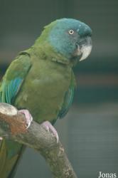 Vogelpark Walsrode