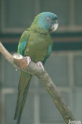 Vogelpark Walsrode