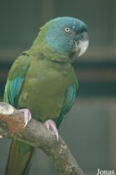 Vogelpark Walsrode