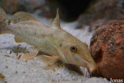 Moskvarium