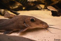 Moskvarium