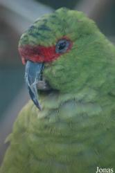 Vogelpark Walsrode