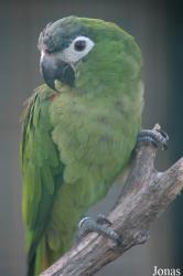 Vogelpark Walsrode