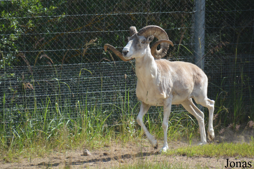 Moscow Zoo Centre for Rare Animals Reproduction (P)