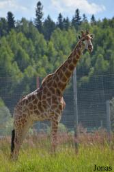 Moscow Zoo Centre for Rare Animals Reproduction (P)
