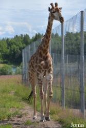 Moscow Zoo Centre for Rare Animals Reproduction (P)