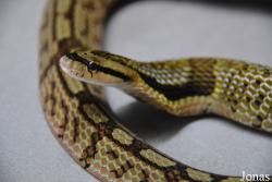 Moscow Zoo Centre for Rare Animals Reproduction (P)