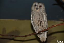 Bird Park Vorobyi