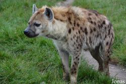 Dierenpark Zie-Zoo