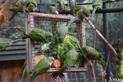DierenPark Amersfoort