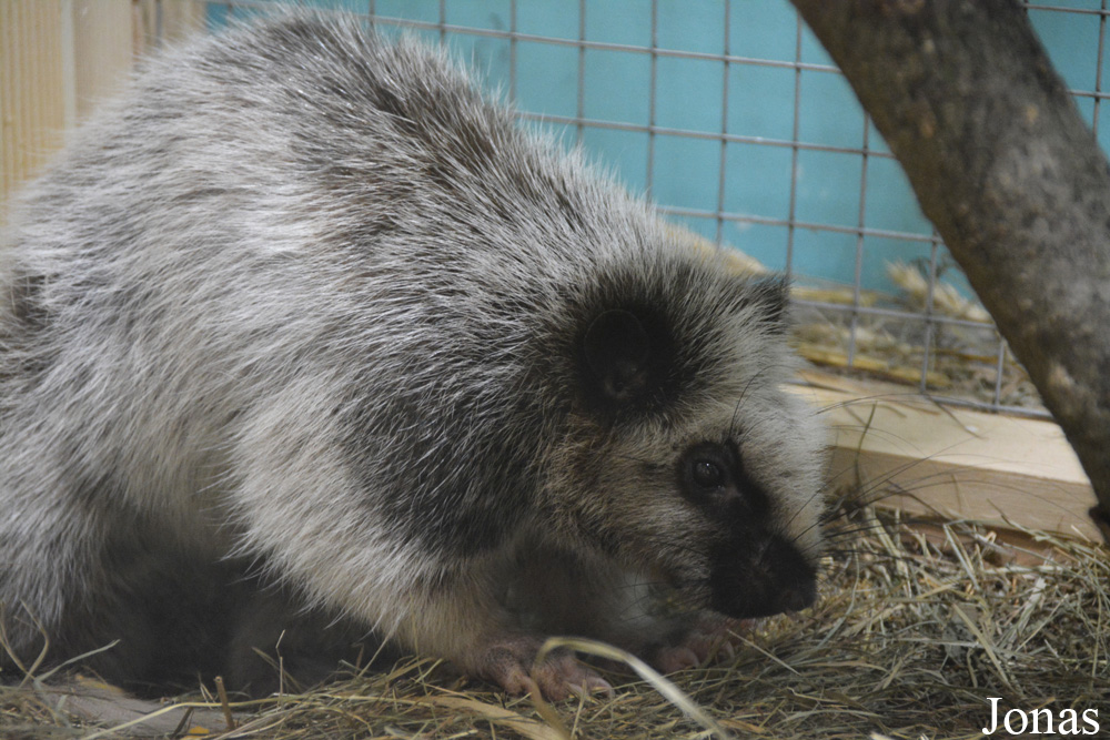 Zoopark Kaunas