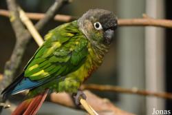 Tierpark Hamm