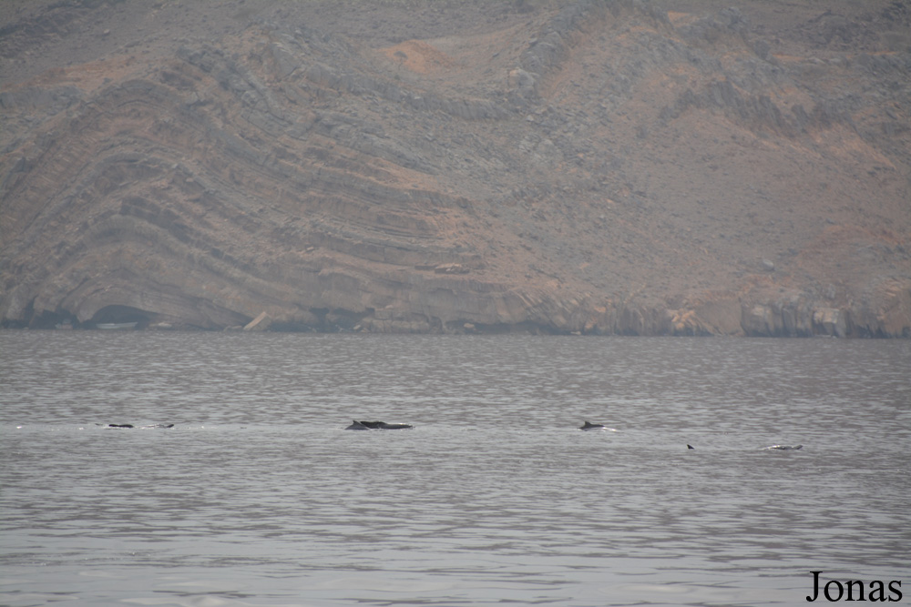 Musandam Peninsula