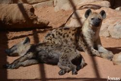 Emirates Park Zoo and Resort