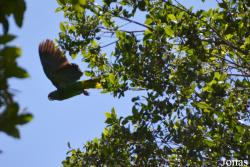 Syndicate Nature Trail