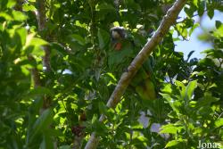 Syndicate Nature Trail