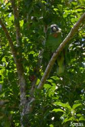 Syndicate Nature Trail