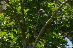 Syndicate Nature Trail