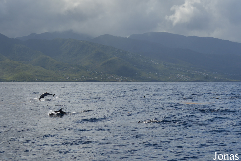 Guadeloupe