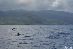 Guadeloupe