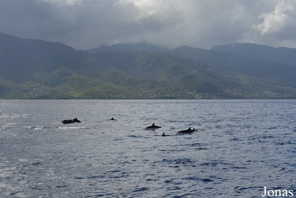 Guadeloupe