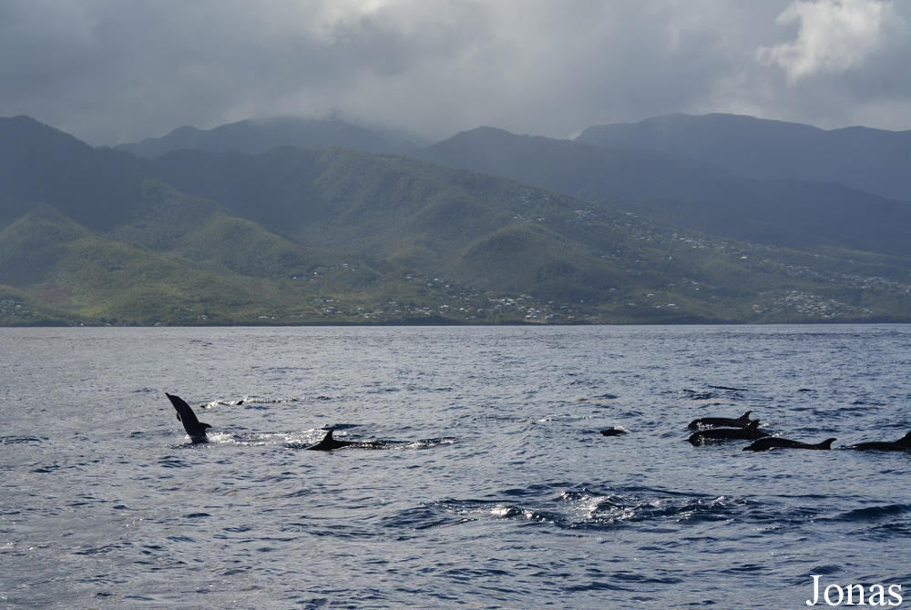 Guadeloupe